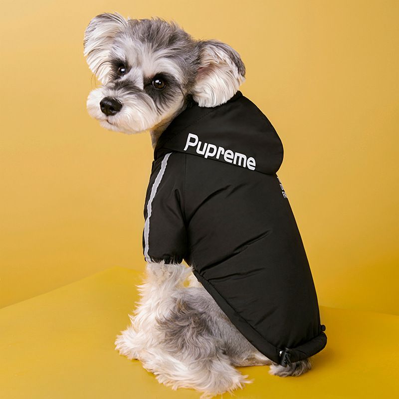 Stylish Animal-Themed Insulated Outfit: Keep Your Canine Comfortable During Winters