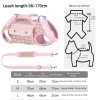 Designer Pet Crossbody Bag for Outings Horizontal Backpack with Leash Handle Elegant Pet Traction Backpack