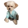 Dog Clothes Pet Sweater Winter Warm Knitted Cold Weather Coats Pullover Pets Clothing Dog Hoodies