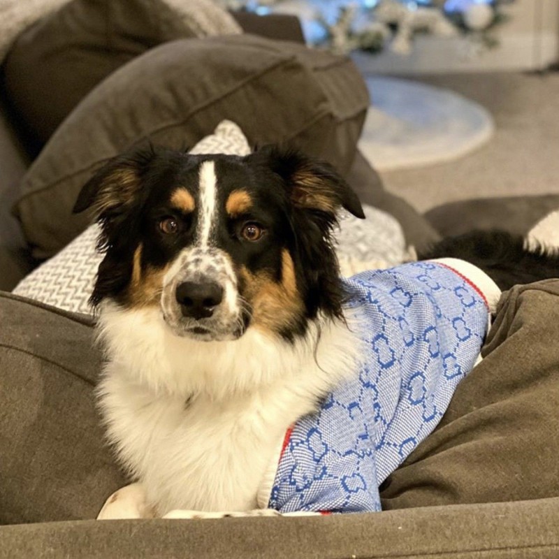 Dog Clothes Pet Sweater Winter Warm Knitted Cold Weather Coats Pullover Pets Clothing Dog Hoodies