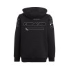 F1 2025 Team Hoodie Formula 1 Racing Hooded Sweatshirt Driver New Season Race 1/4 Zip Sweat Men Women Black Pullover Hoodie Custom